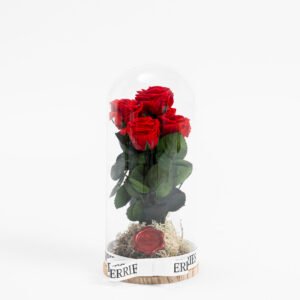 Örökrózsa üvegbúrában (Quintet)