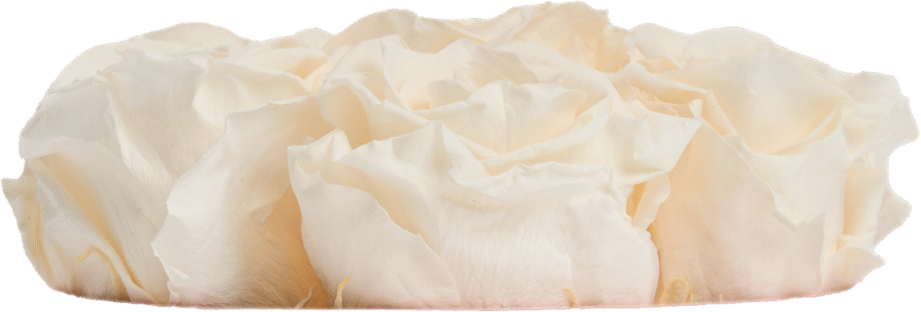 Vanilla