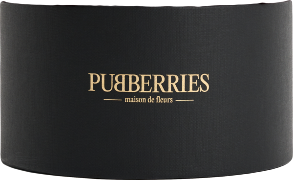 Nagy Fekete Rose Box