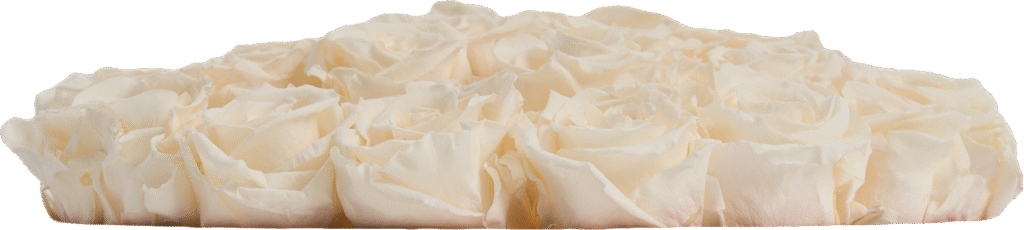 Vanilla